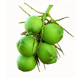 ផ្លែដូងខ្ចី