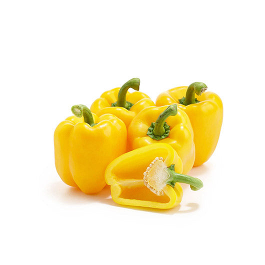 ម្ទេសហាវៃធំ លឿង