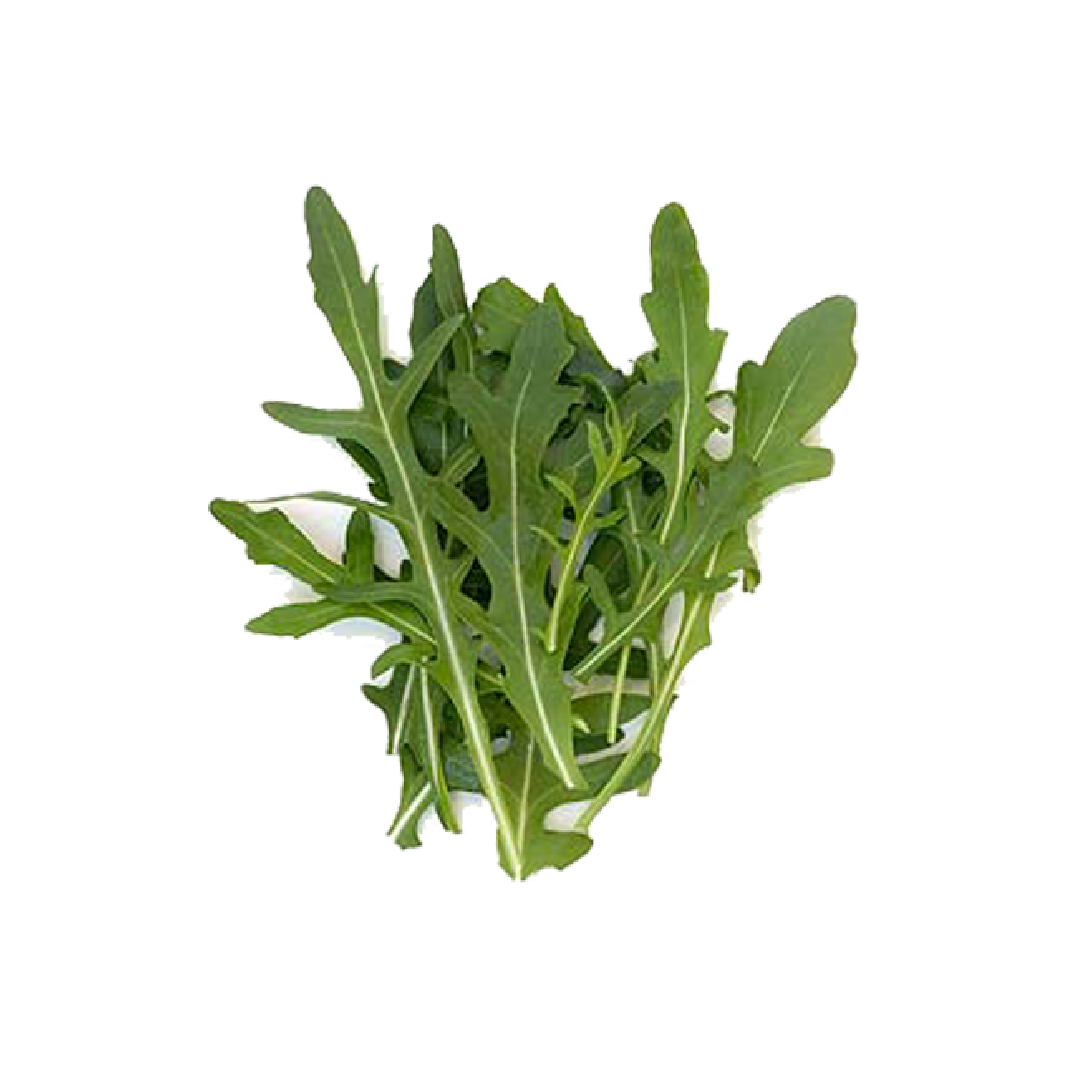 សាលាដ រ៉ូកែតតូច