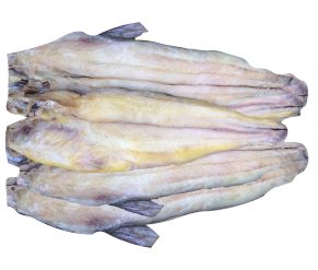 ត្រីប្រាហើម