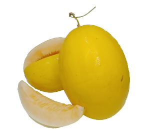 ផ្លែត្រសក់ស្រូវផ្អែម លឿង