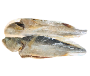 ត្រីប្រម៉ាលេខ ៣