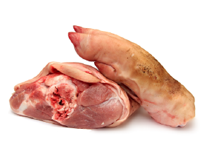 ជើងជ្រូក