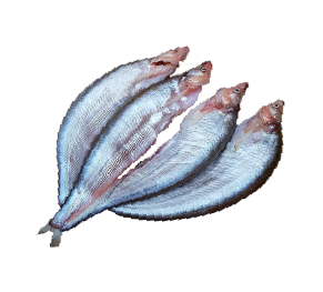 ត្រីកែស ធំ