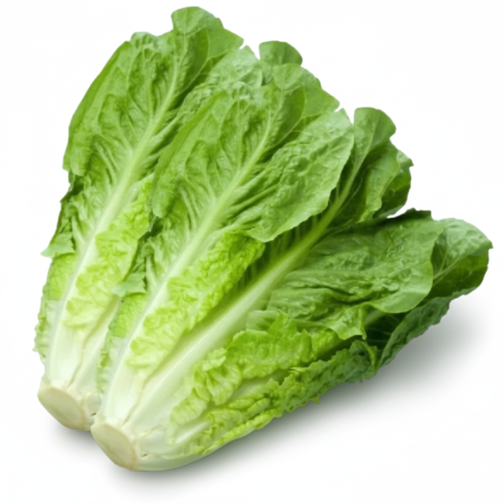 សាលាដ រ៉ូមែន