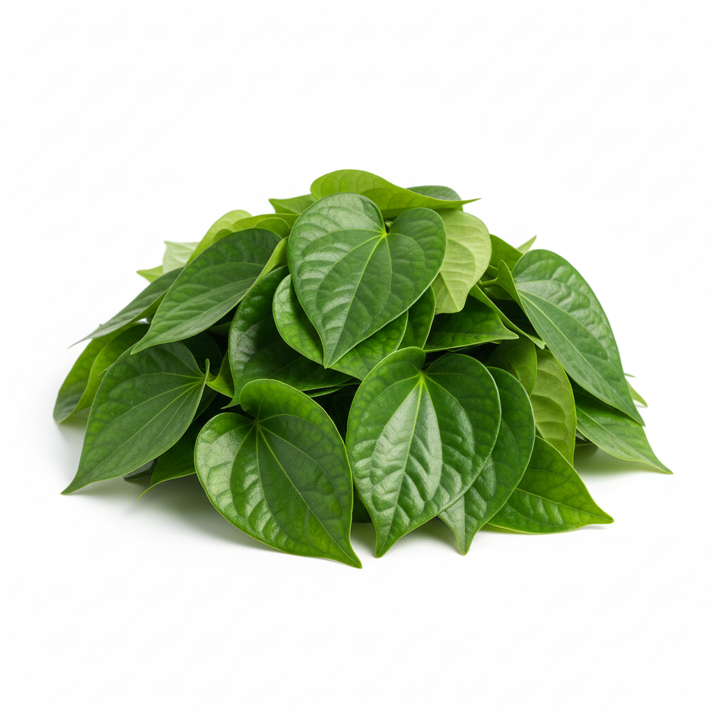 ស្លឹកកម្លូរ