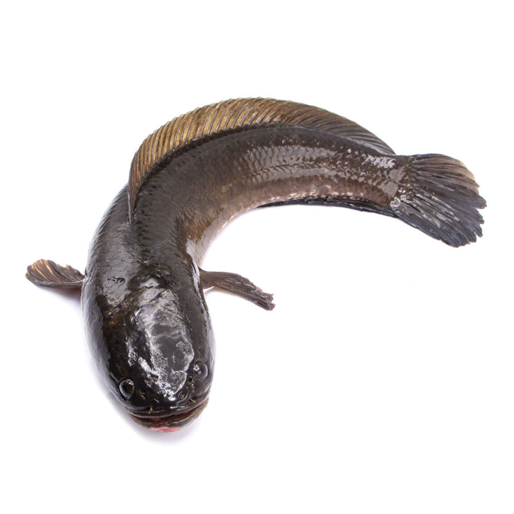 ត្រីរ៉ស់