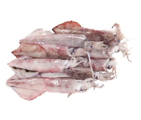 មឹកស្រស់ល្មម