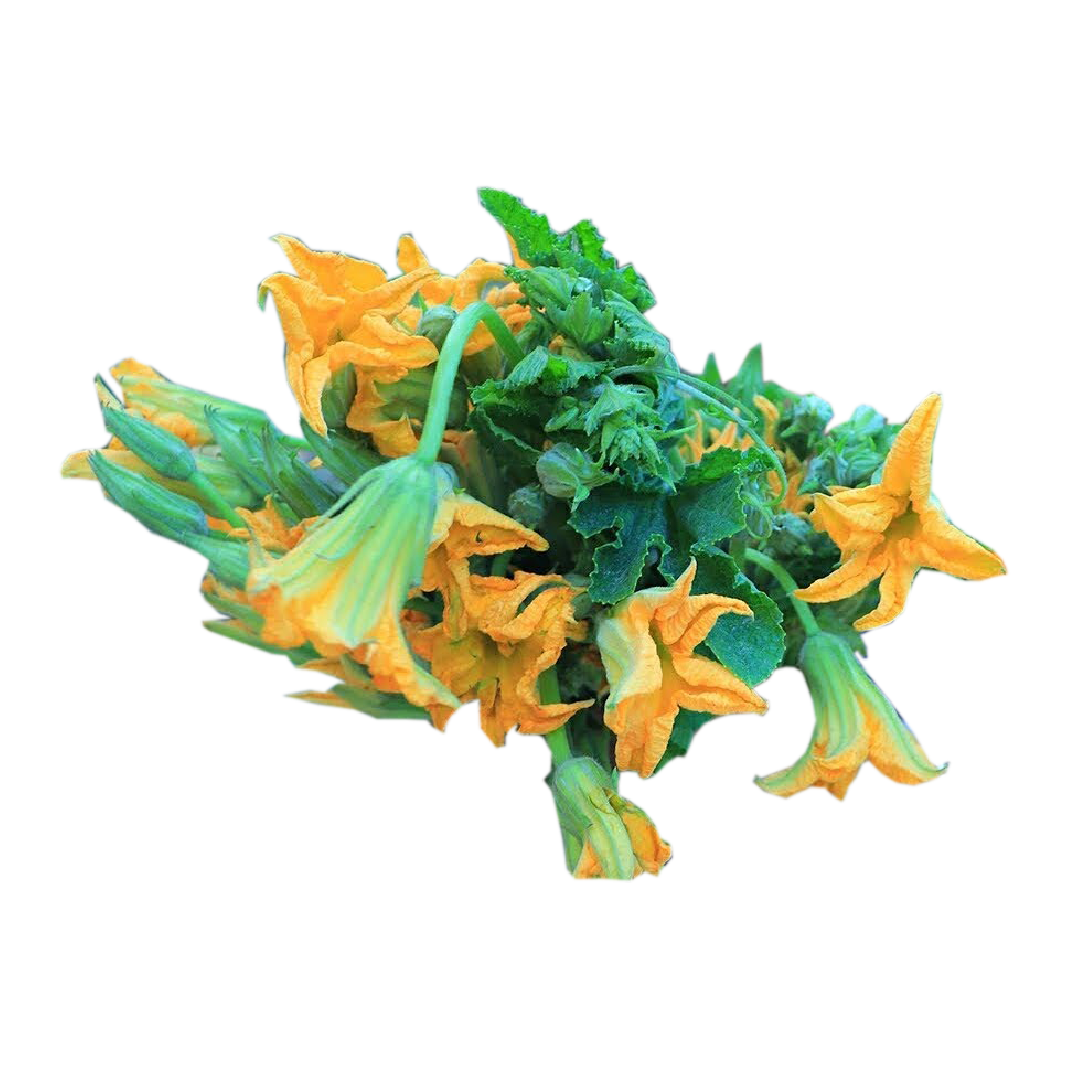 ផ្កាល្ពៅ