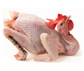 មាន់ខ្មែរធ្វើហើយ