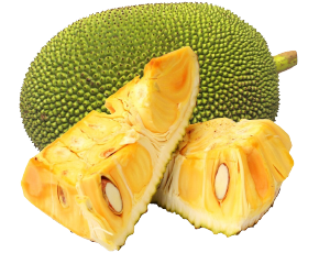 ផ្លែខ្នុរមូល