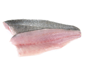 ត្រីឆ្ពុង ហ្វីលេ