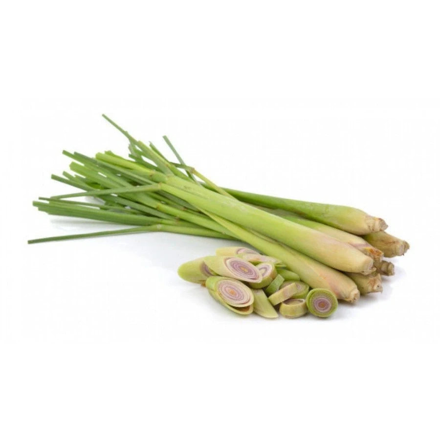 គល់ស្លឹកគ្រៃ ហាន់