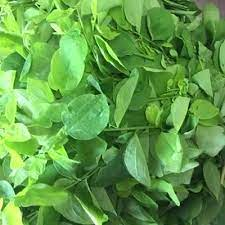 ស្លឹកងប់