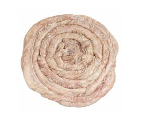 ពោះជ្រូក