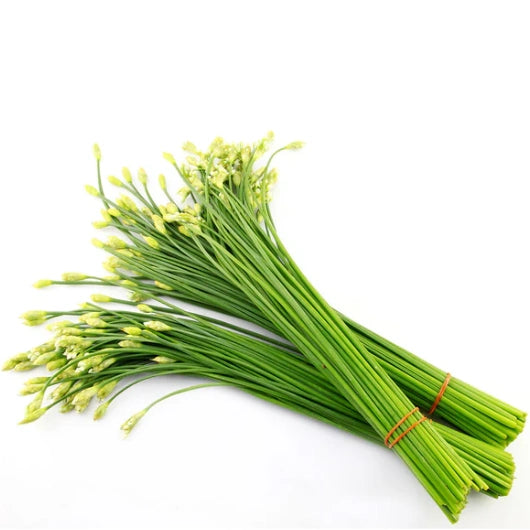 ស្លឹកគូឆាយ