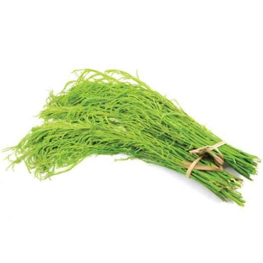 ស្លឹកស្អំ