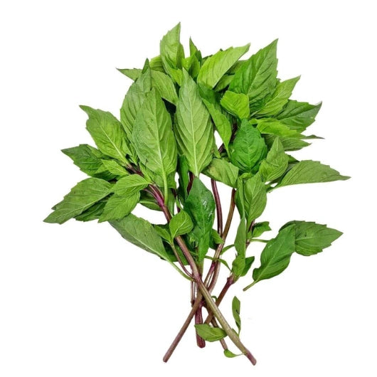 ជីនាងវង