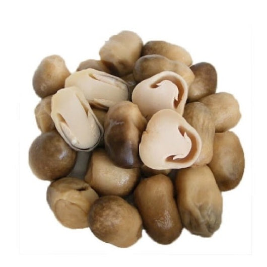 ផ្សិតចំបើង