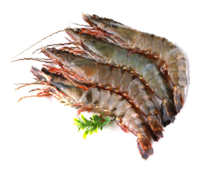 បង្គារស្រស់ខ្មៅ 20-25pcs