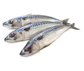 ត្រីកាម៉ុងស្រស់