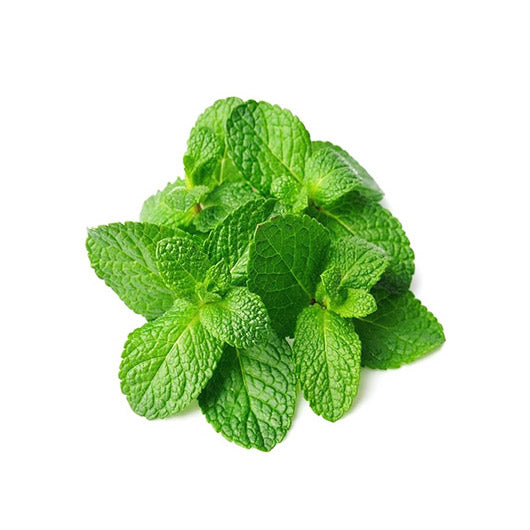 ជី អង្កាម