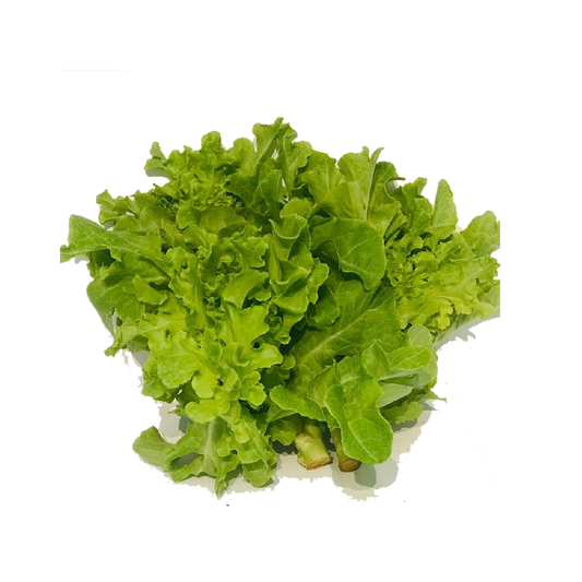 សាលាដ ប៉ាតាវីយ៉ា គ្រីន