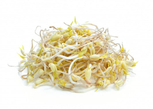 សណ្តែកបណ្តុះ