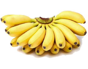 ចេកពងមាន់ស្និត