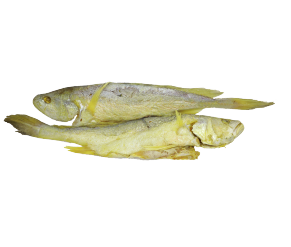 ត្រីប្រម៉ាលេខ ២