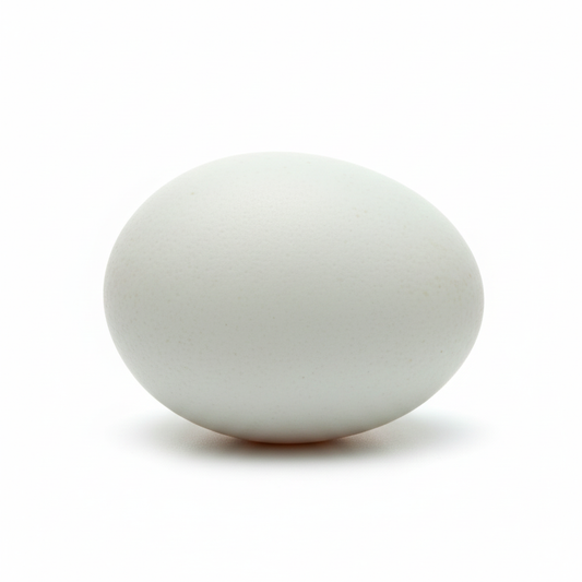 ពងទាសាប