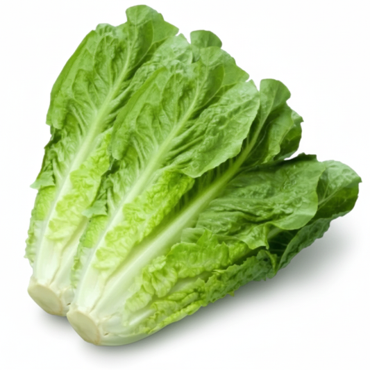 សាលាដ រ៉ូមែន