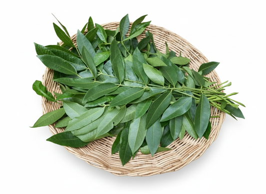 ស្លឹកម្កាក់