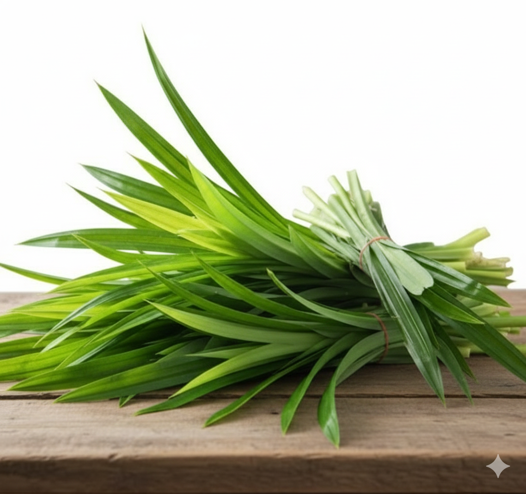 ស្លឹកតយ