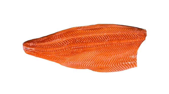 ត្រីសាលម៉ុន ហ្វីឡេ