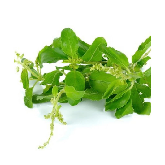 ម្រះព្រៅ