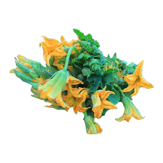 ផ្កាល្ពៅ