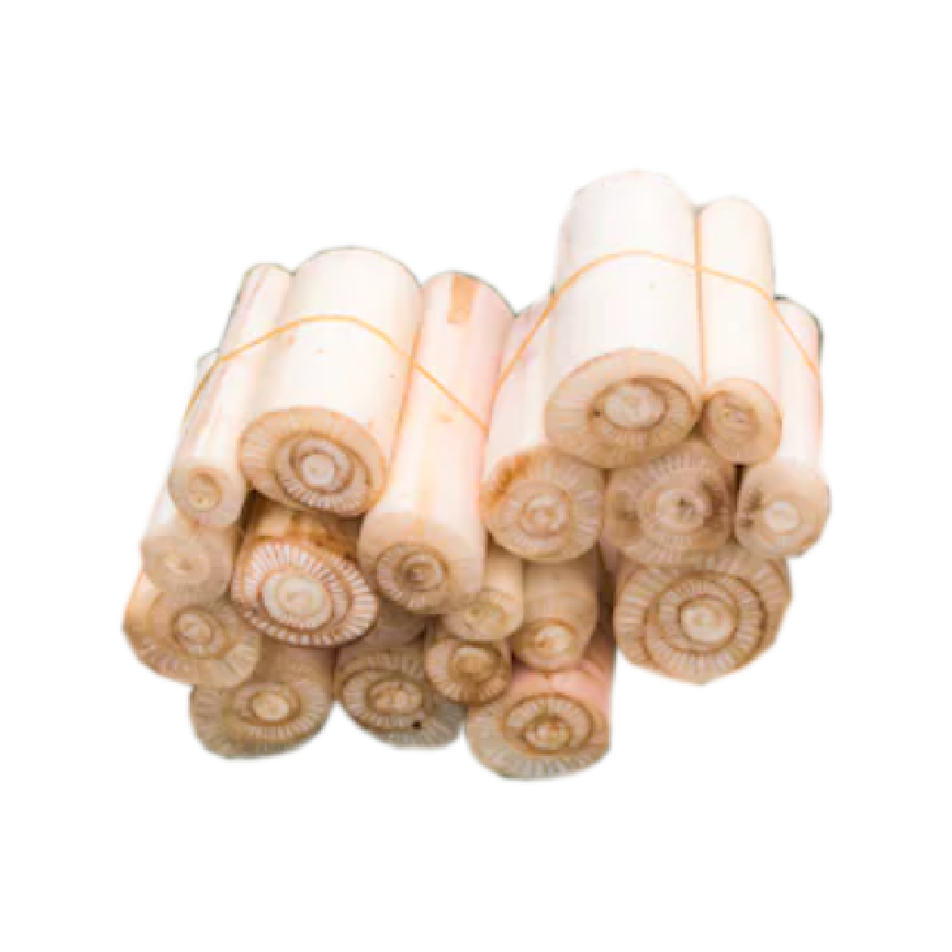 ដើមចេកមូល