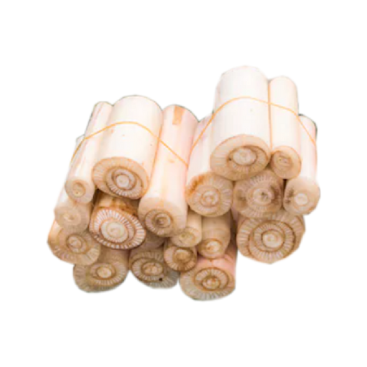 ដើមចេកមូល