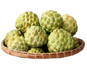 ផ្លែទៀប