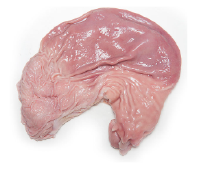 ក្រពះជ្រូក