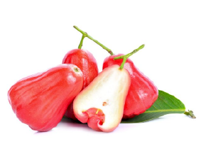 ផ្លែជំពូ