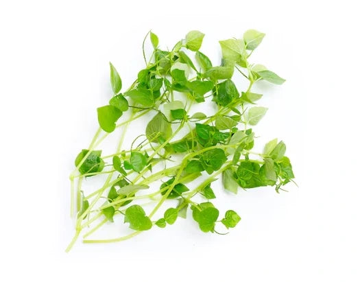 ក្រសាំងទាប