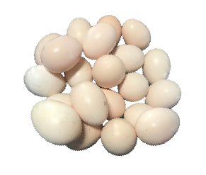 ពងមាន់ស្រែ