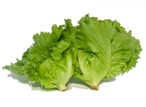 សាលាដ ប៉ាតាវីយ៉ា គ្រីន