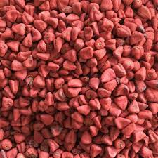 គ្រាប់ការី