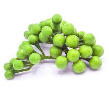 ត្រប់ពុតញង