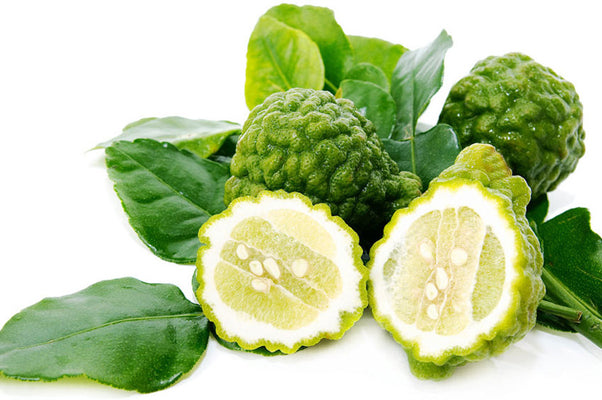 ផ្លែក្រូចសើច