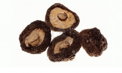 ផ្សិតខ្មៅក្រៀម