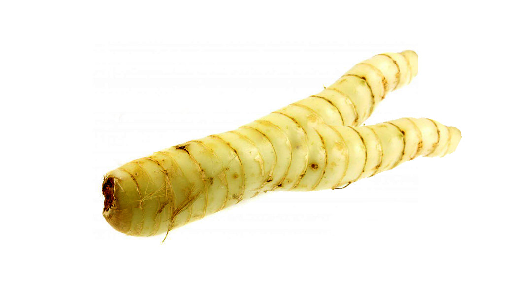 សាគូដើម